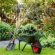 Spring Gardening