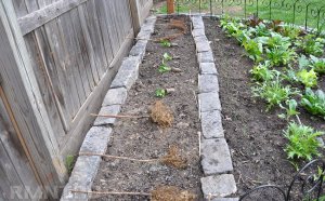 How To Grow A Little